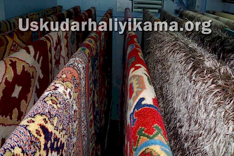 halı kurutma odası