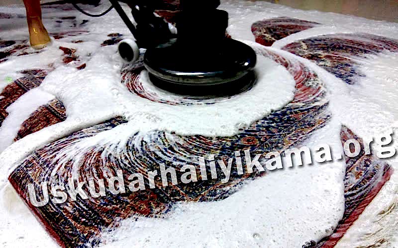 halı yıkama