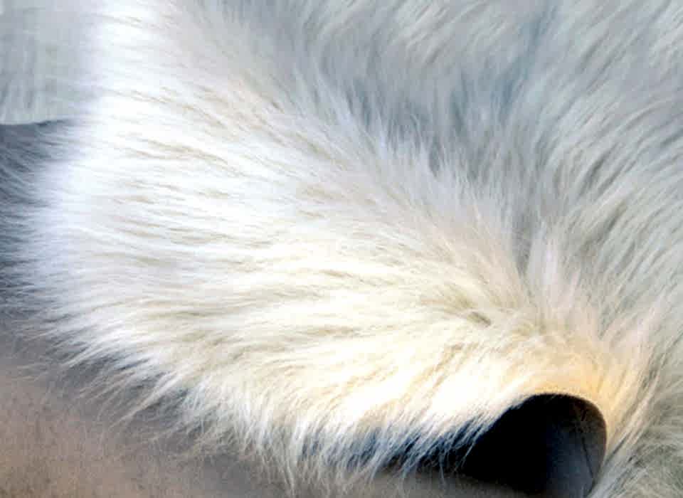 peluş halı yıkama